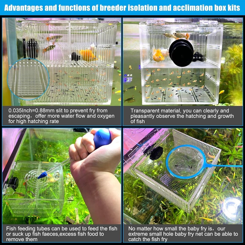 NestBasics Magnetic Fish Breeder Box for Isolation Boxes (4.71 Inch with 2 Divider（Sealed Bottom Version）) - Image 4